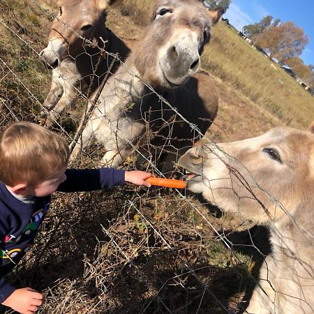 Blackbrook Farm Underberg Zewnętrze zdjęcie