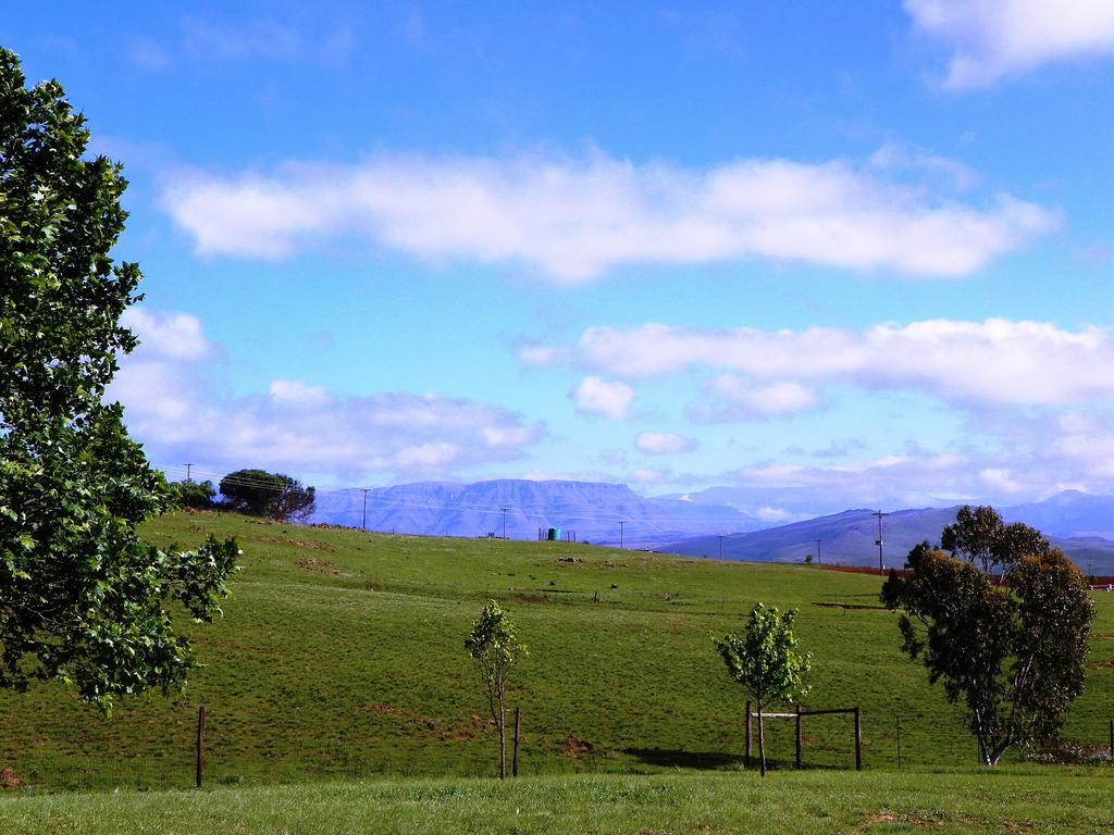 Blackbrook Farm Underberg Zewnętrze zdjęcie