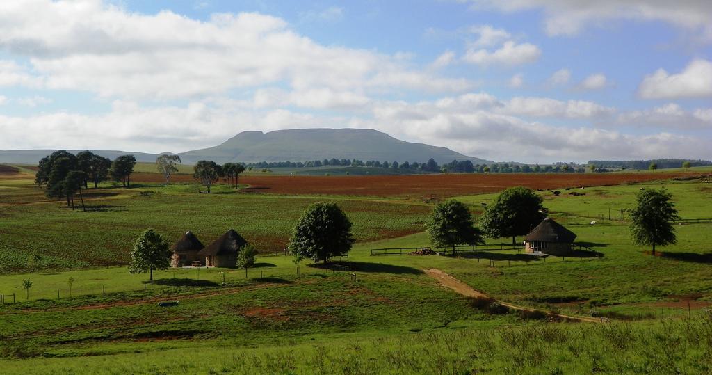 Blackbrook Farm Underberg Zewnętrze zdjęcie