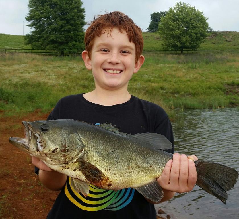 Blackbrook Farm Underberg Zewnętrze zdjęcie